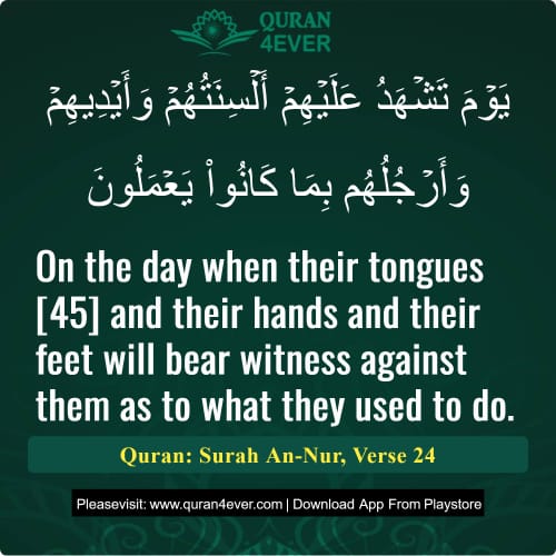 Quran Surah 24 Verse 24