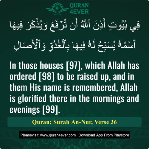 Quran Surah 24 Verse 36