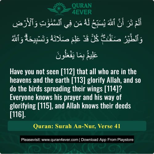 Quran Surah 24 Verse 41