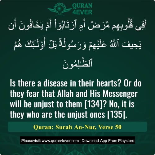 Quran Surah 24 Verse 50