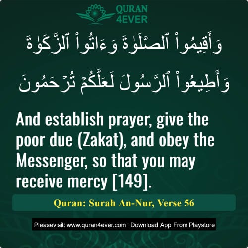 Quran Surah 24 Verse 56