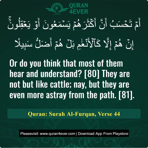 Quran Surah 25 Verse 44