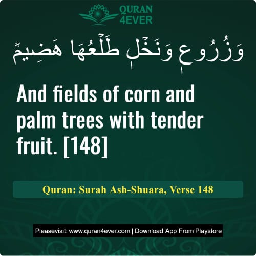Quran Surah 26 Verse 148