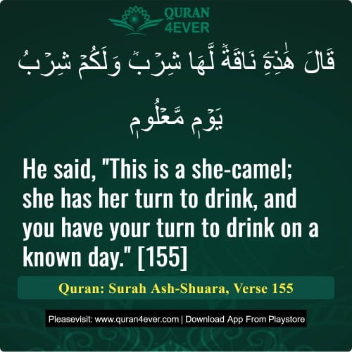 Quran Surah 26 Verse 155