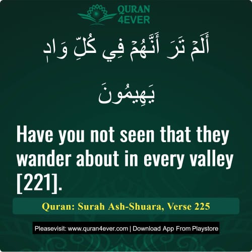 Quran Surah 26 Verse 225