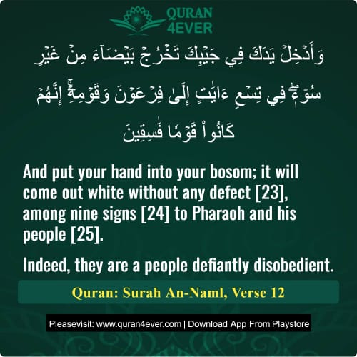 Quran Surah 27 Verse 12