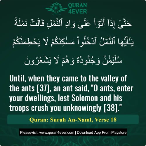 Quran Surah 27 Verse 18