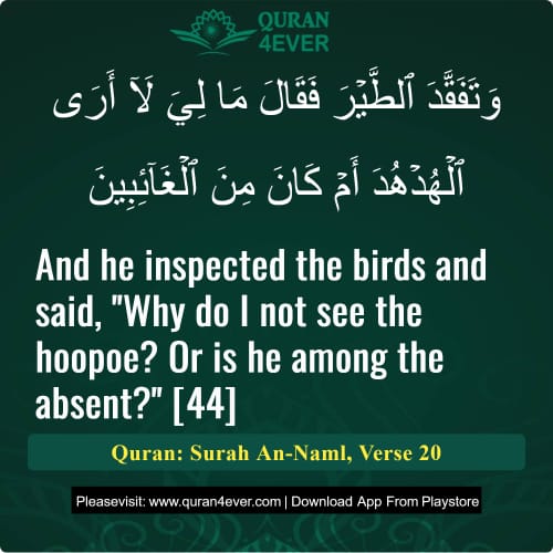 Quran Surah 27 Verse 20