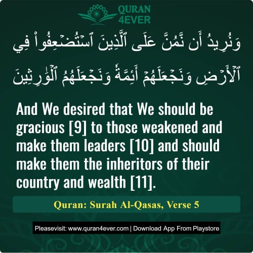 Quran Surah 28 Verse 5