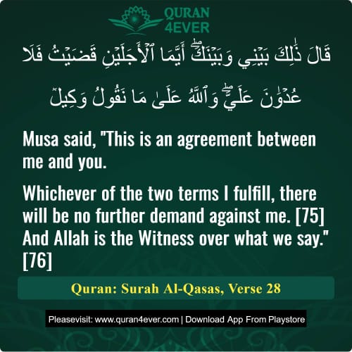 Quran Surah 28 Verse 28