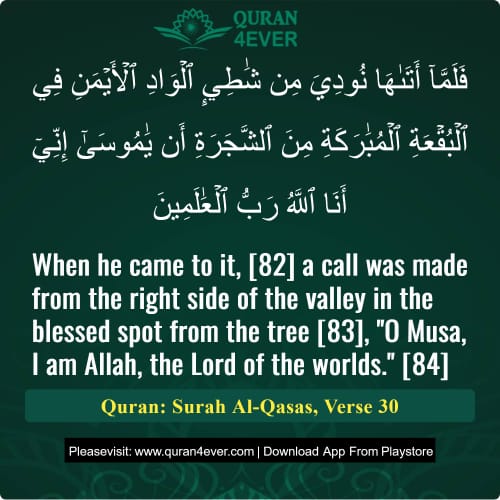 Quran Surah 28 Verse 30