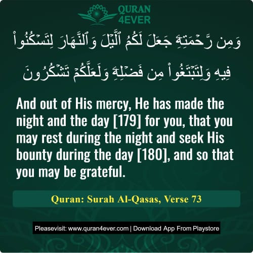 Quran Surah 28 Verse 73