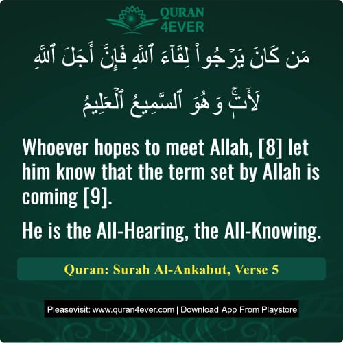 Quran Surah 29 Verse 5