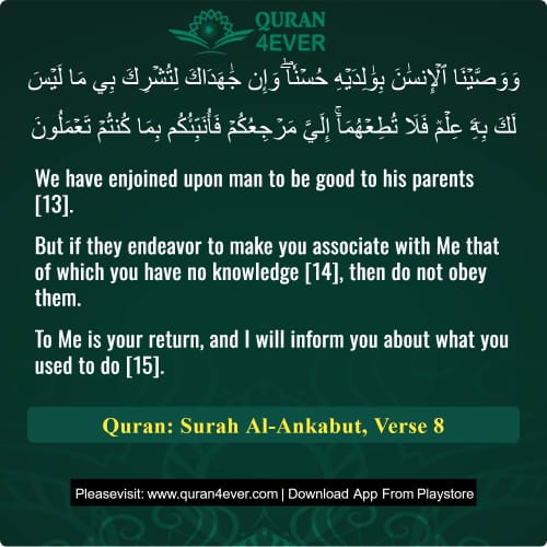 Quran Surah 29 Verse 8