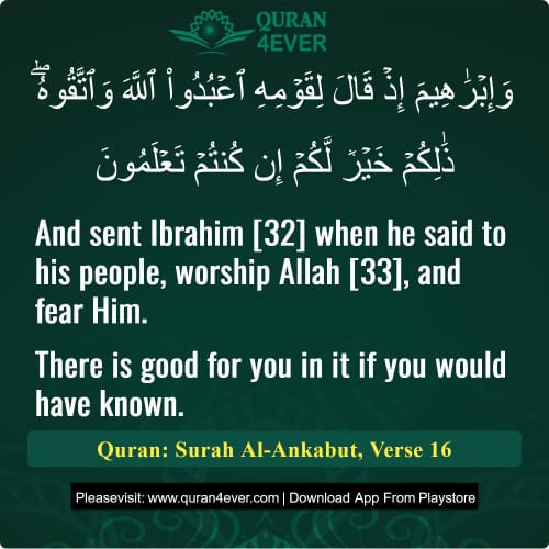 Quran Surah 29 Verse 16
