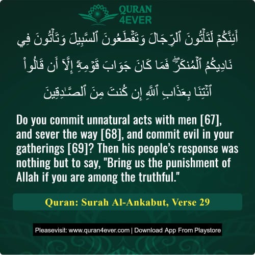 Quran Surah 29 Verse 29