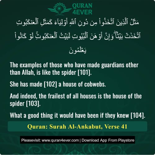 Quran Surah 29 Verse 41