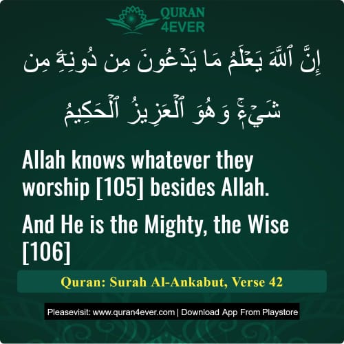 Quran Surah 29 Verse 42