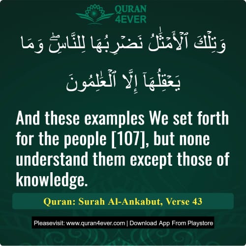 Quran Surah 29 Verse 43