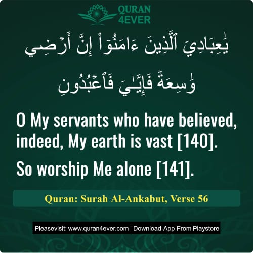 Quran Surah 29 Verse 56
