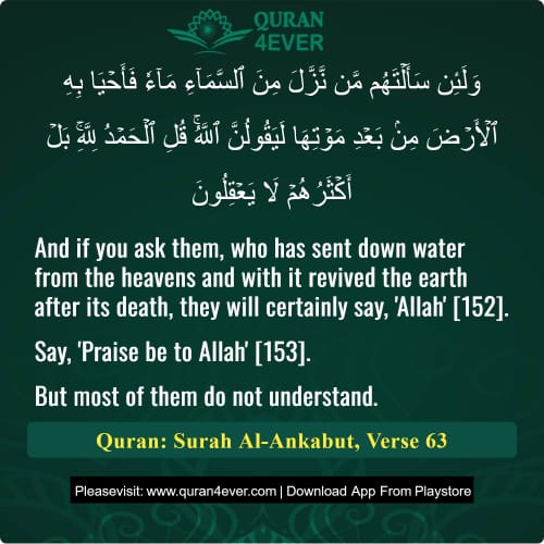 Quran Surah 29 Verse 63