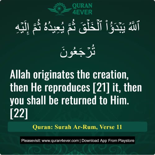 Quran Surah 30 Verse 11