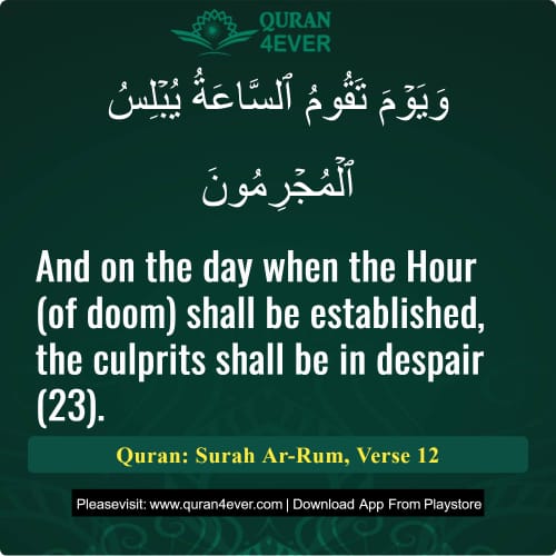 Quran Surah 30 Verse 12