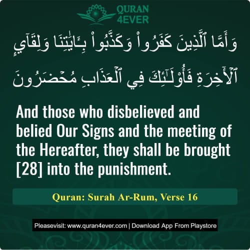 Quran Surah 30 Verse 16
