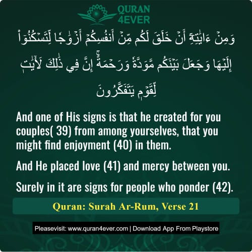 Quran Surah 30 Verse 21