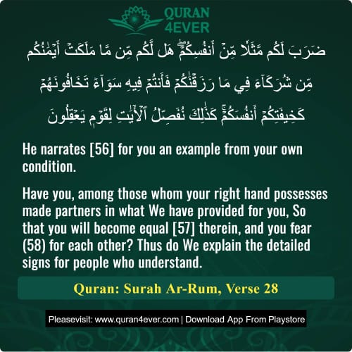Quran Surah 30 Verse 28