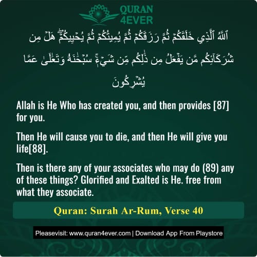 Quran Surah 30 Verse 40