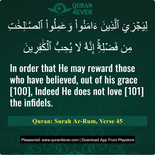 Quran Surah 30 Verse 45