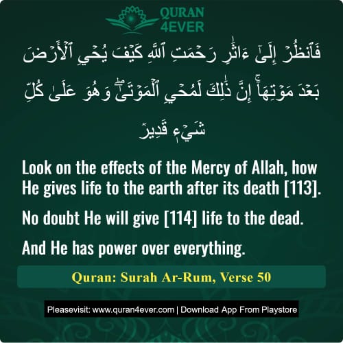 Quran Surah 30 Verse 50