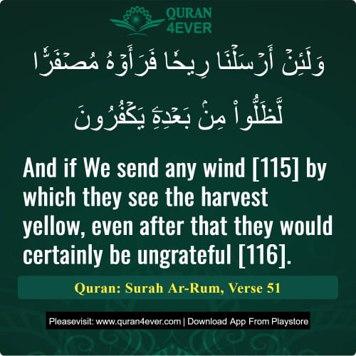 Quran Surah 30 Verse 51