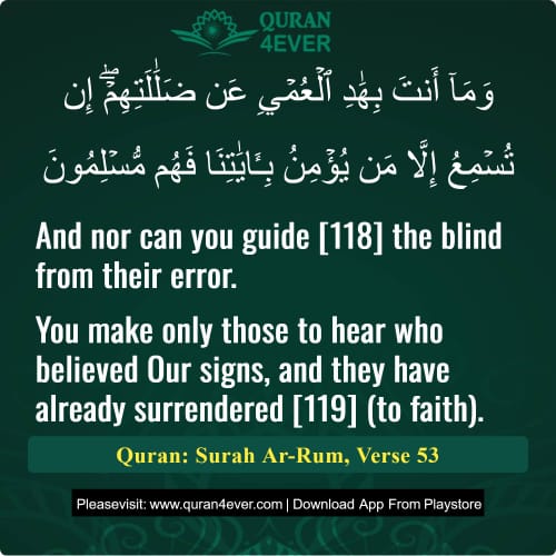 Quran Surah 30 Verse 53