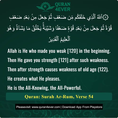 Quran Surah 30 Verse 54