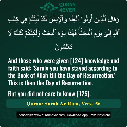 Quran Surah 30 Verse 56