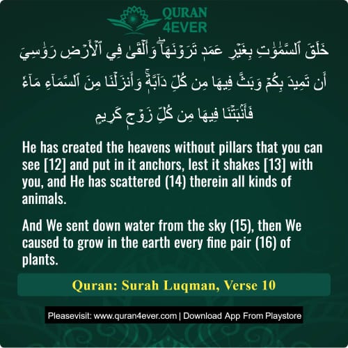 Quran Surah 31 Verse 10