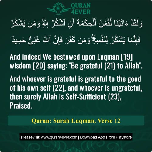 Quran Surah 31 Verse 12