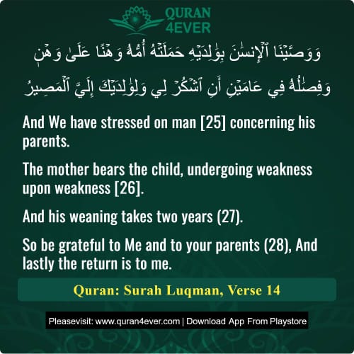 Quran Surah 31 Verse 14
