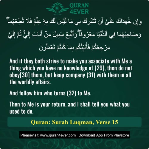 Quran Surah 31 Verse 15