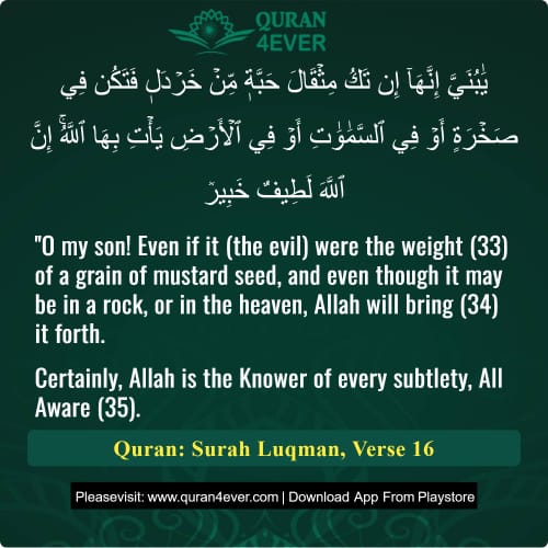 Quran Surah 31 Verse 16