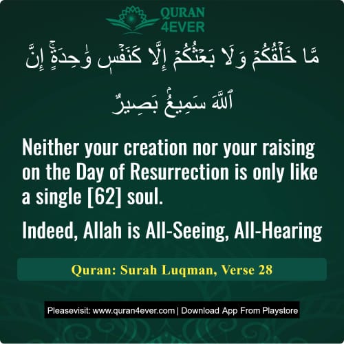 Quran Surah 31 Verse 28