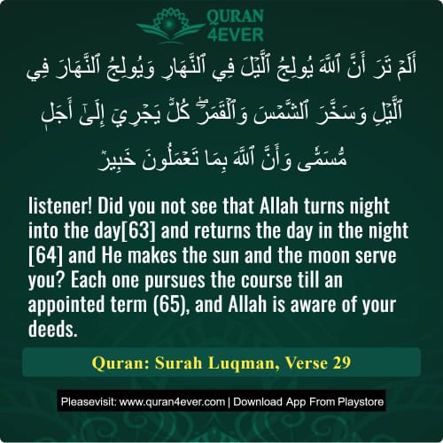 Quran Surah 31 Verse 29