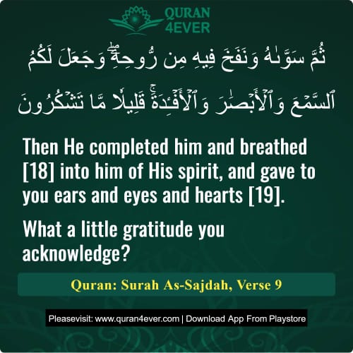 Quran Surah 32 Verse 9