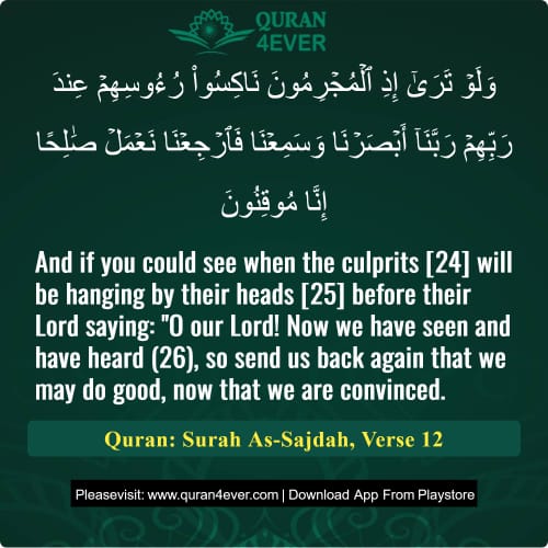 Quran Surah 32 Verse 12