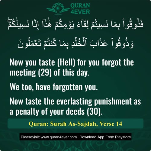 Quran Surah 32 Verse 14