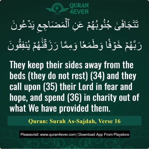 Quran Surah 32 Verse 16