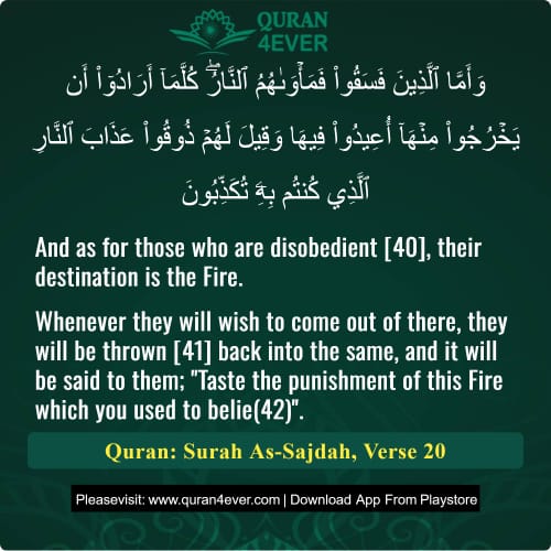 Quran Surah 32 Verse 20