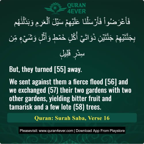 Quran Surah 34 Verse 16